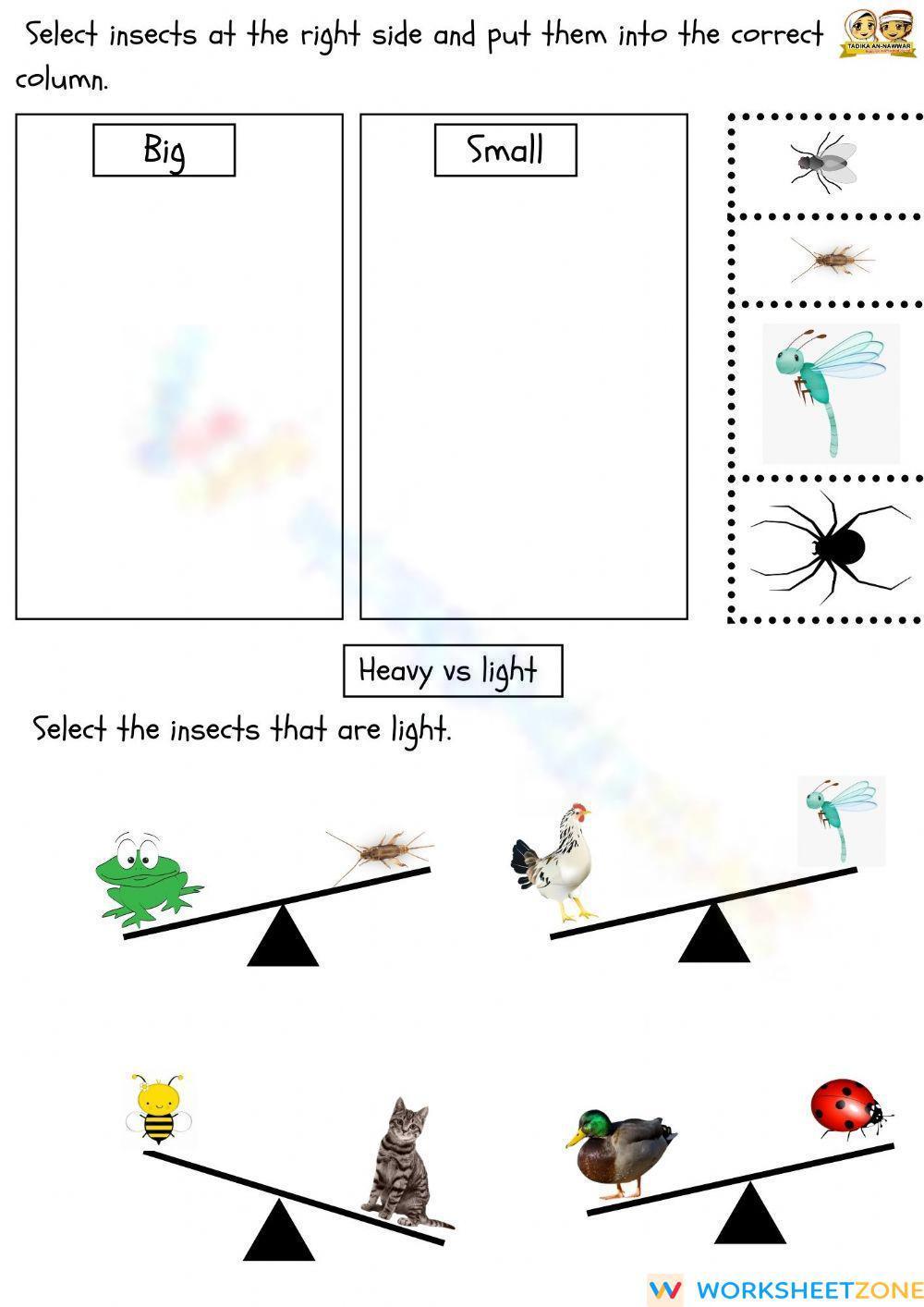 Math : Comparison (Size And Heavy) Worksheet