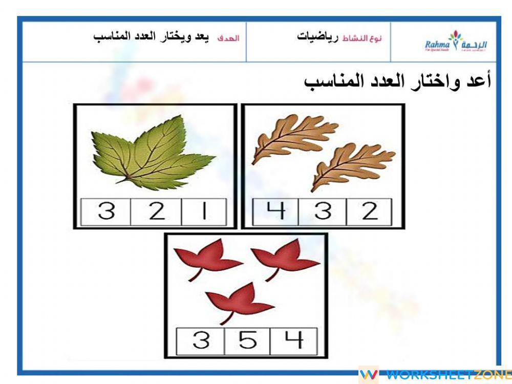 Numbers Worksheet