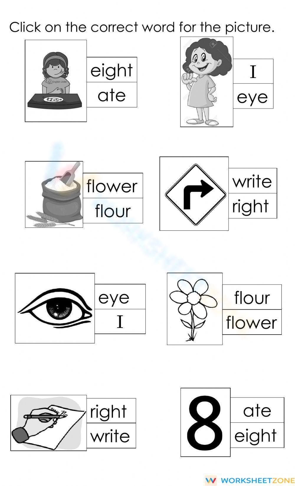 English Unite - Much or Many Worksheet