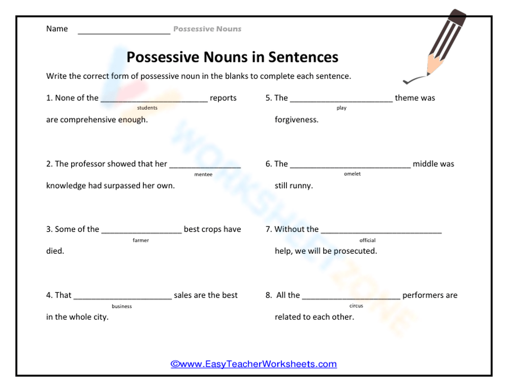 Possessive Nouns In Sentences Worksheet