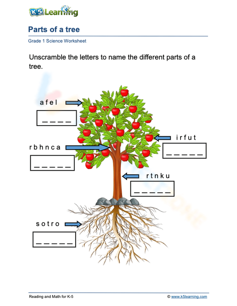 parts of tree worksheet