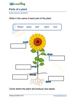 Free Interactive & Printable Science Worksheets for All Grades