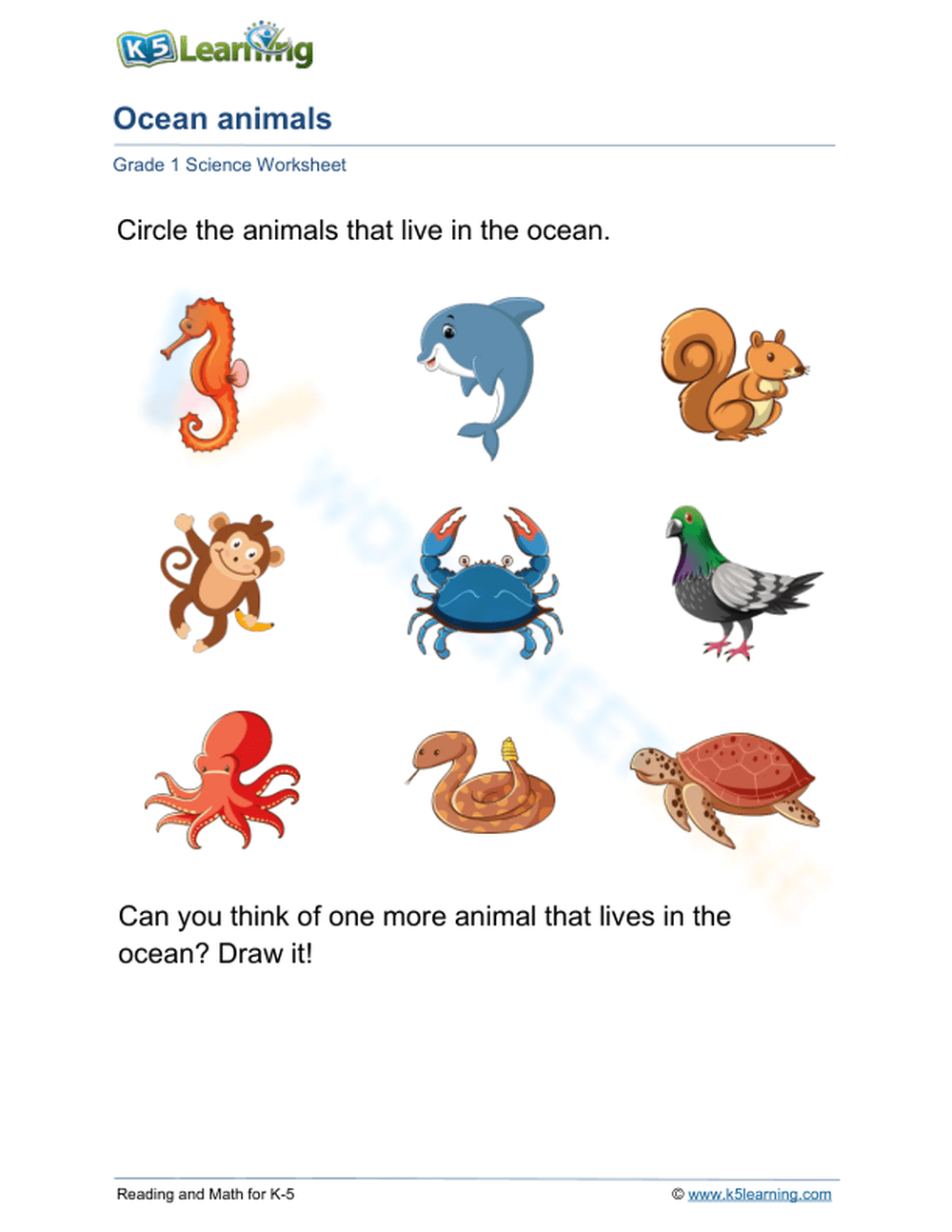 Ocean Animals Worksheet