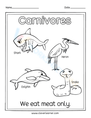 Carnivores