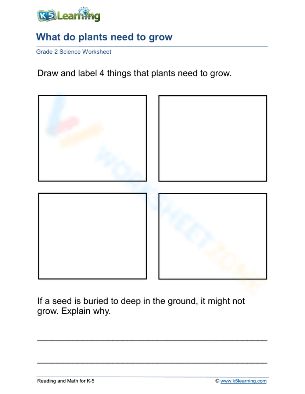 What Do Plants Need To Grow Chart