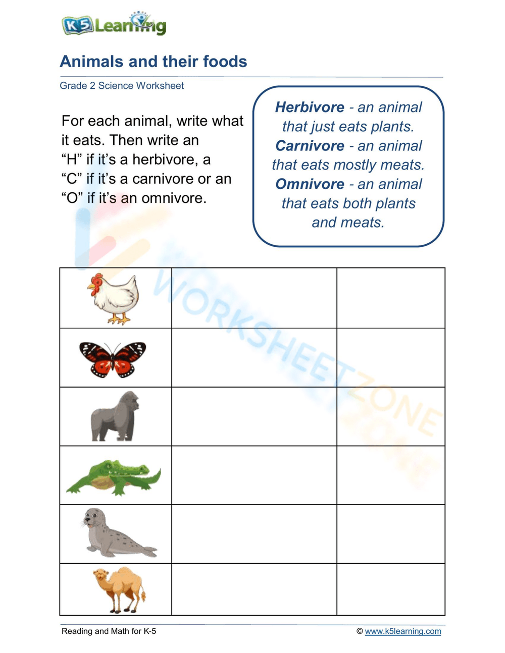 food from animals worksheet