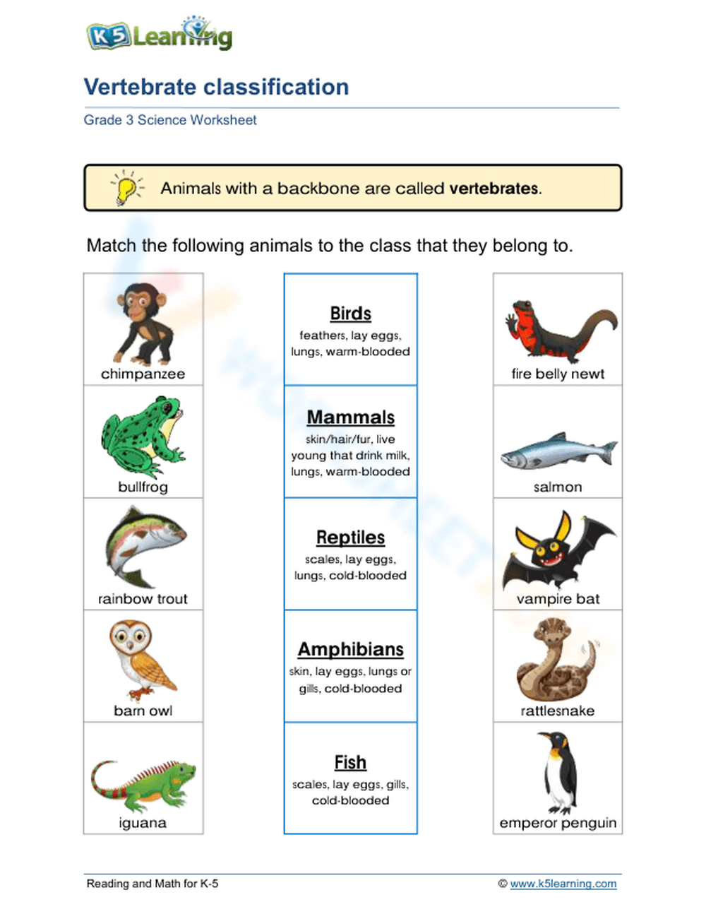 Vertebrate Classification 1 Worksheet 9914