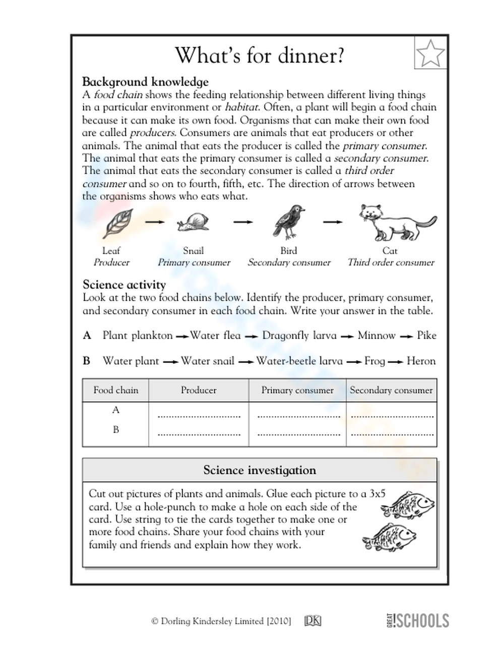 Parts Of The Food Chain Worksheet Biology Diagrams
