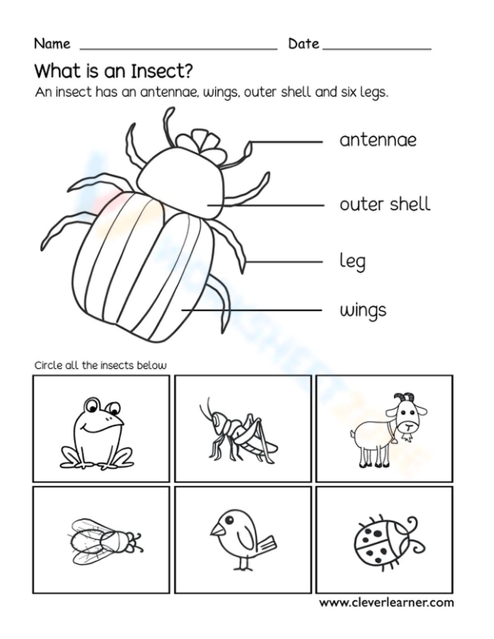 insect worksheets kindergarten