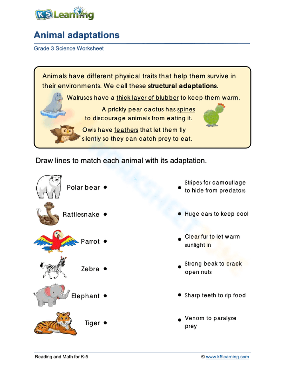 Animal Adaptations - Grade 7 Science: SCI 104-01