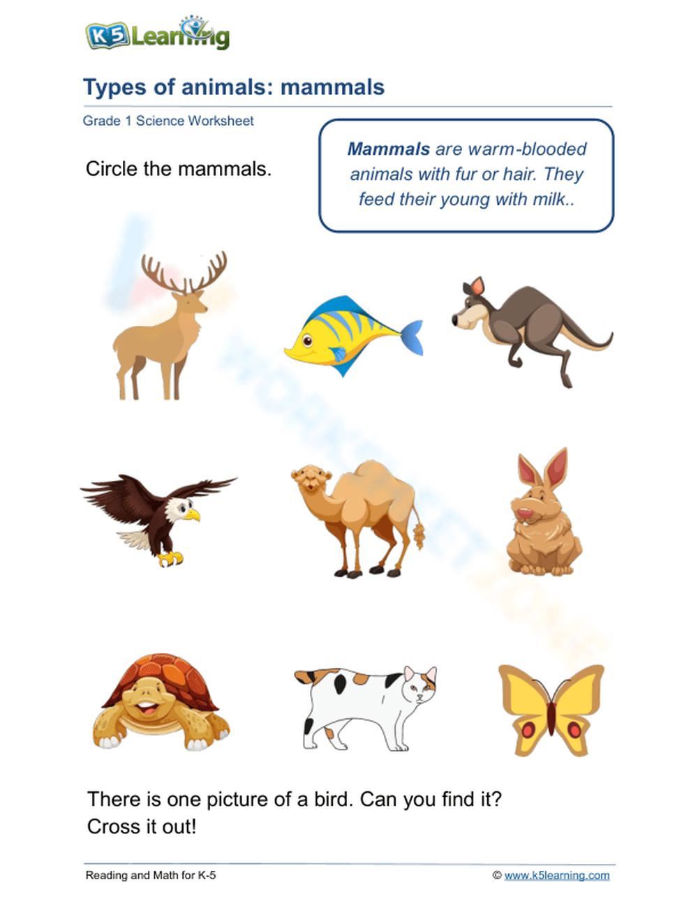 mammals animals list