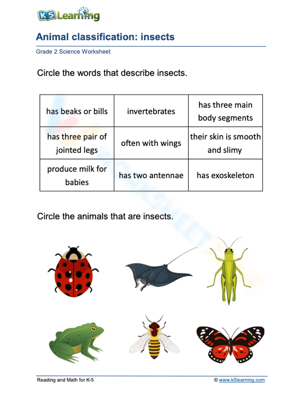 invertebrates classification worksheet