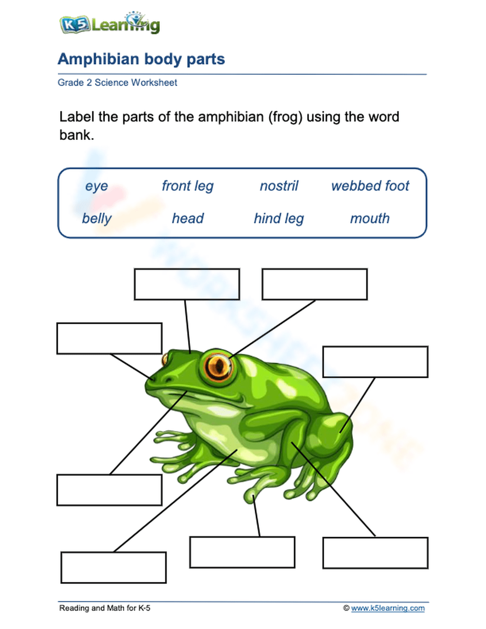 Amphibian Body Parts Worksheet