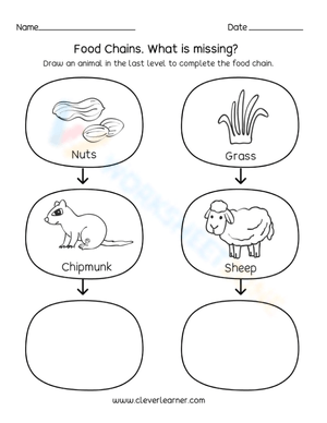 Build a food chain 3 Biology Diagrams