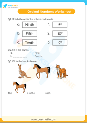 Ordinal numbers worksheet 2