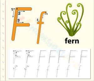 F is for Fern