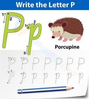 P is for Porcupine