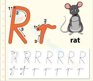 R is for Rat