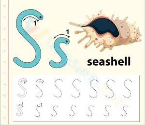 S is for Seashell
