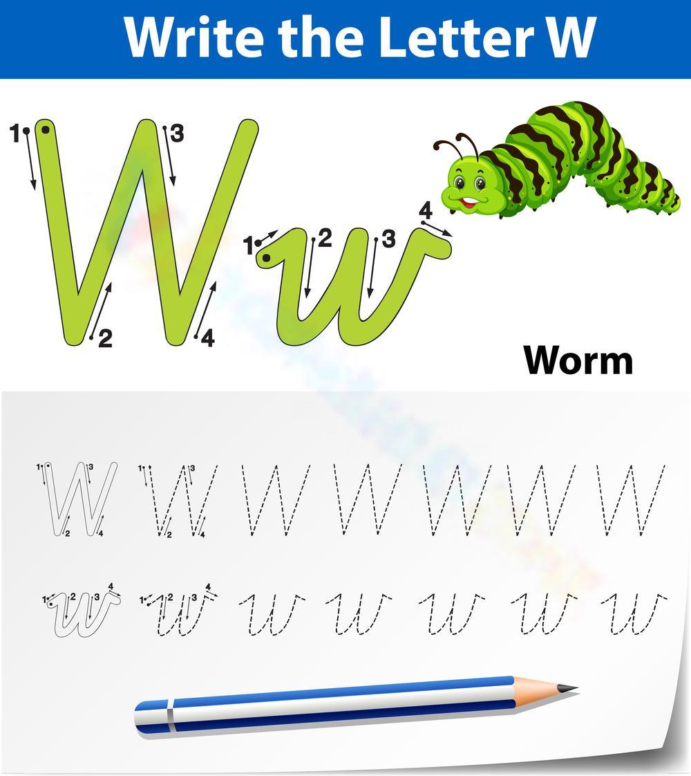 W is for Worm