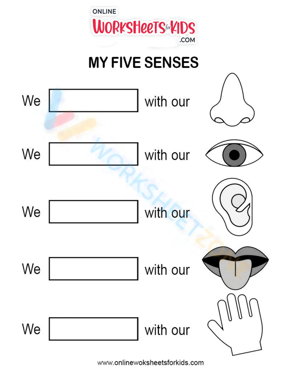 5 sense - 1