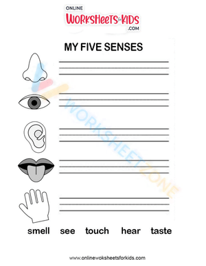 5 sense - 2