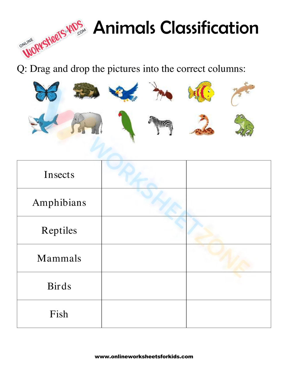 Animals Classification Worksheet For 1st Grade 2