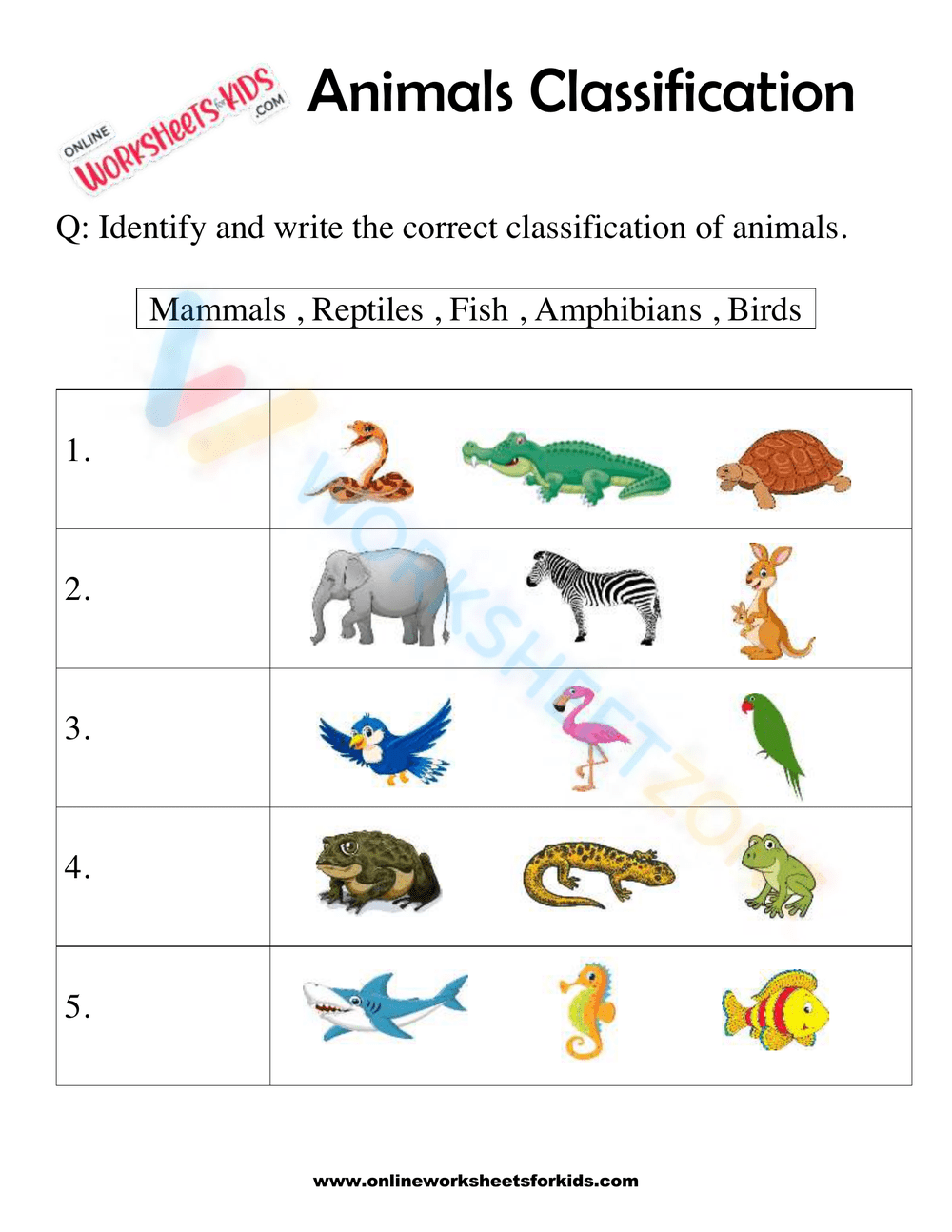 classification of animals worksheet