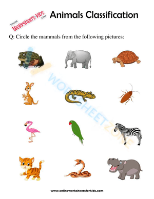 Free Animal Classification Worksheet Collection