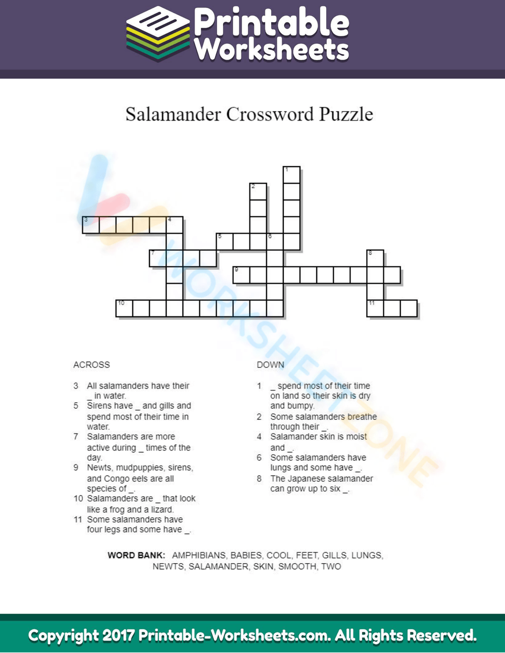 Animals Salamanders Crossword Worksheet
