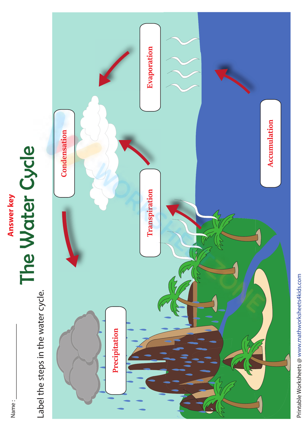 simple water cycle worksheet