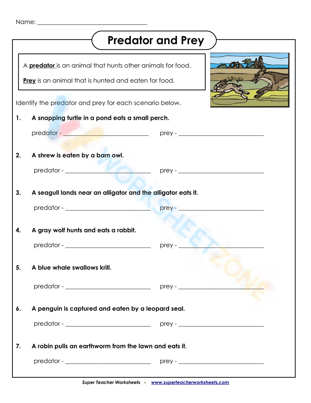 predator vs prey worksheet