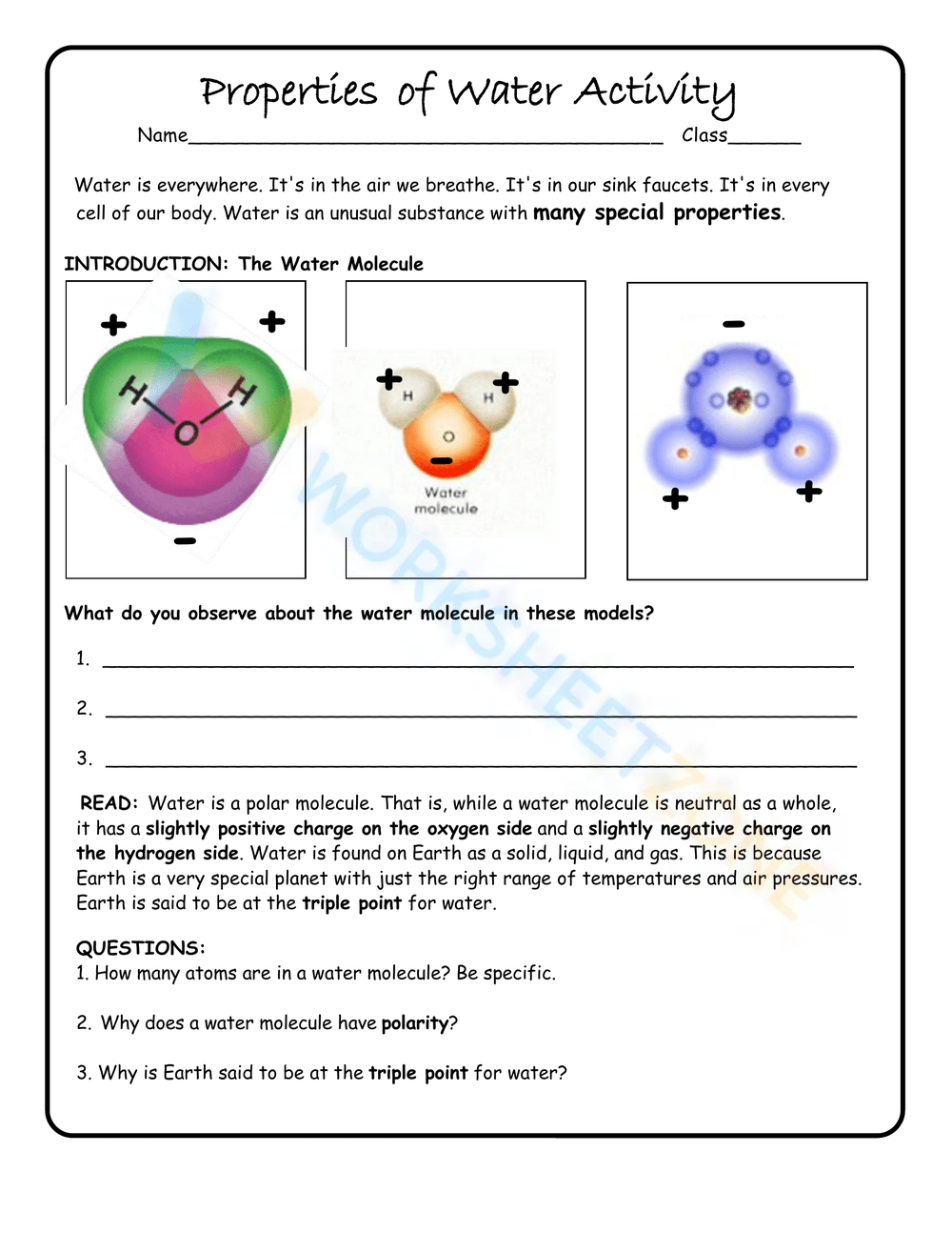 Properties Of Water Activity Worksheet