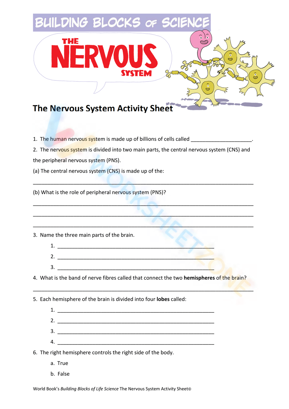 the-nervous-system-worksheet