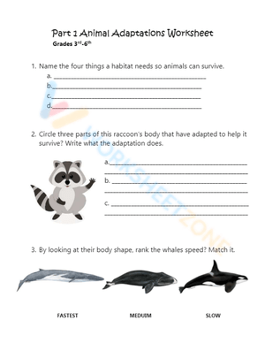 Animal Adaptations worksheets