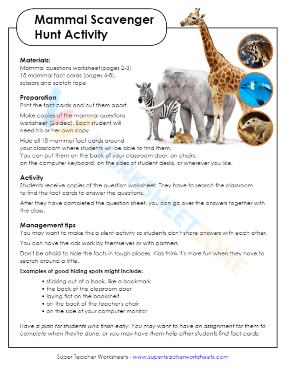 animal classification 2