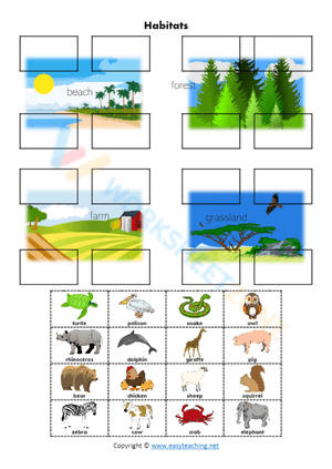 animal habitats 4