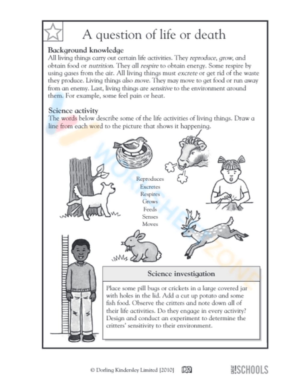 science-for-3rd-graders-worksheets