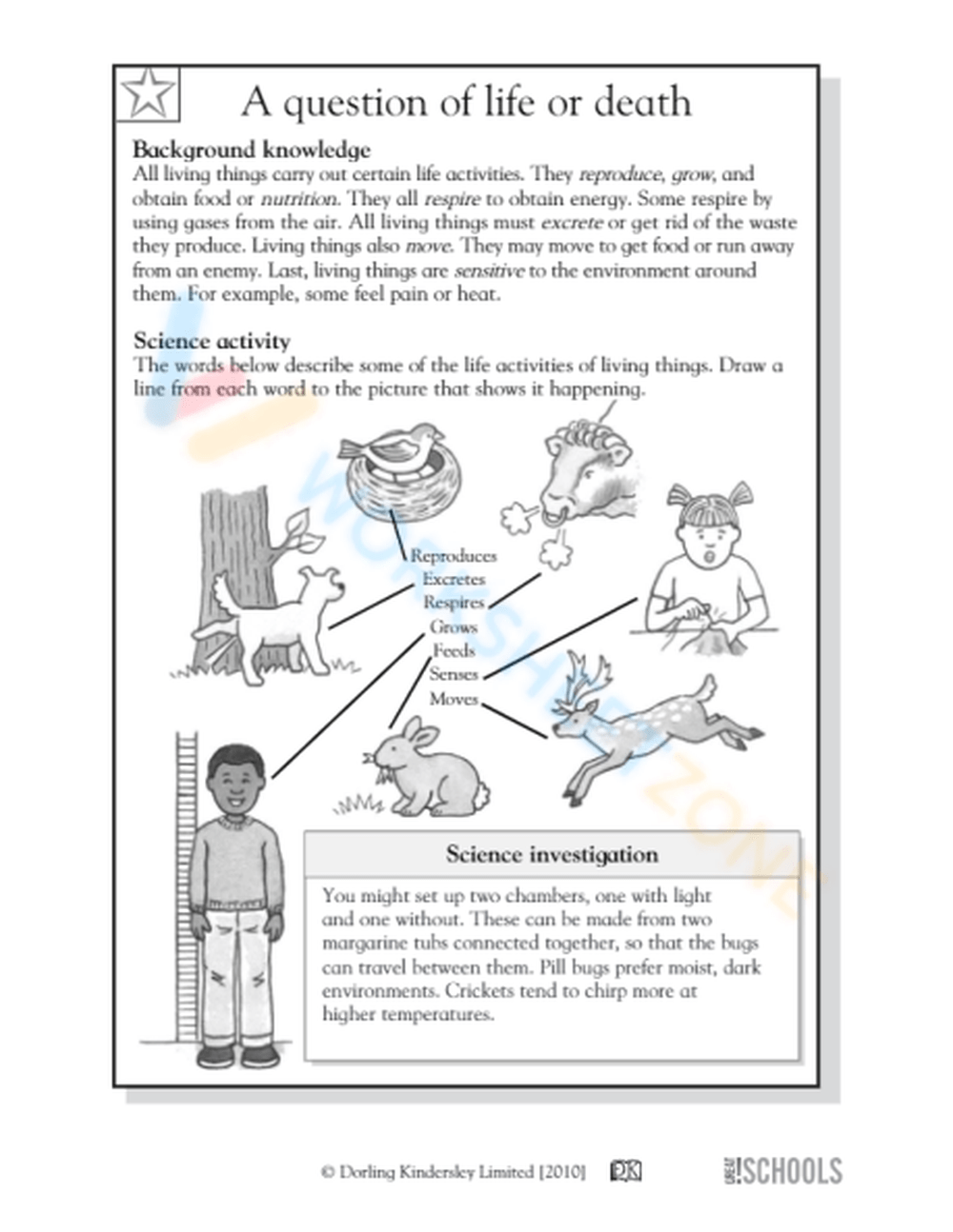 science-for-3rd-graders-worksheets