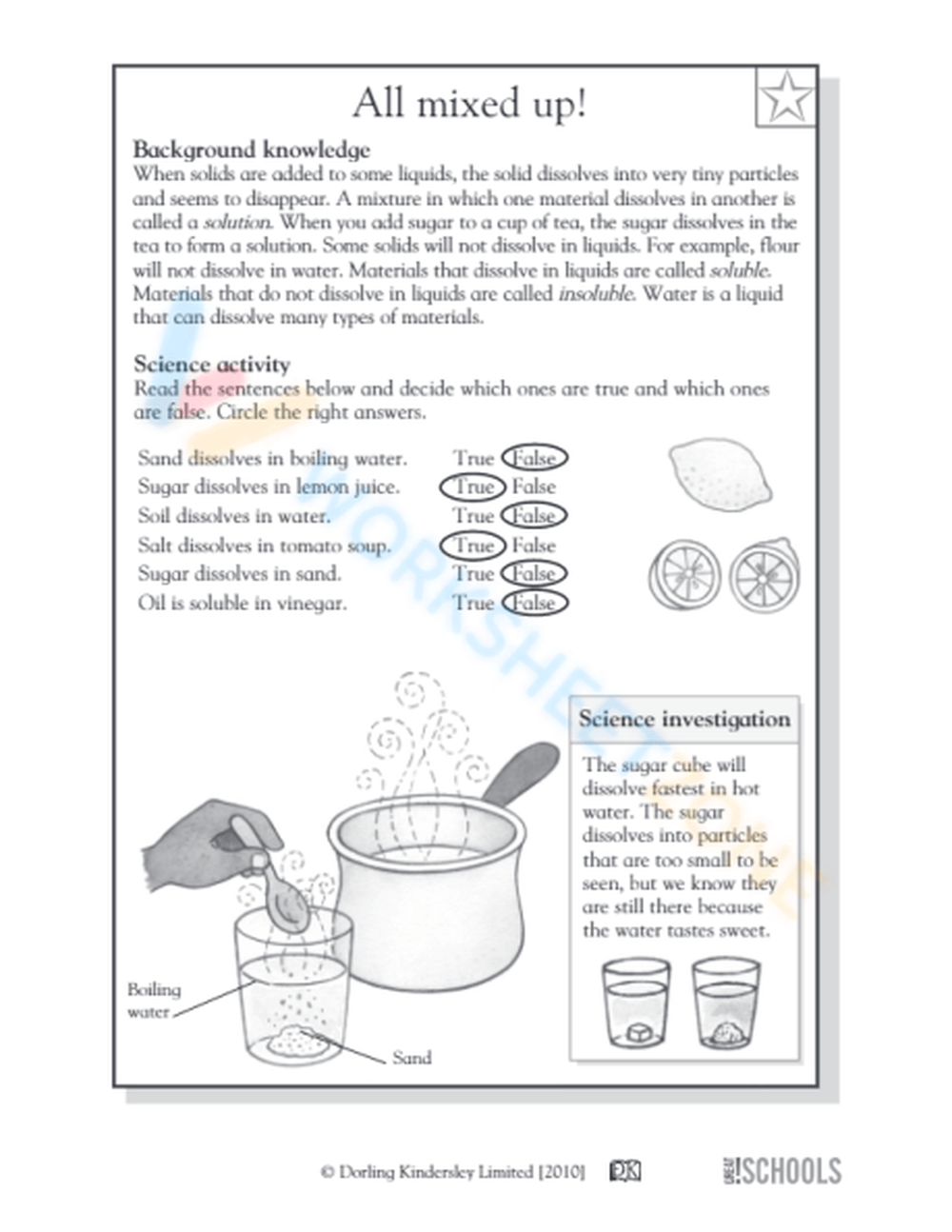 science-for-3rd-graders-worksheets