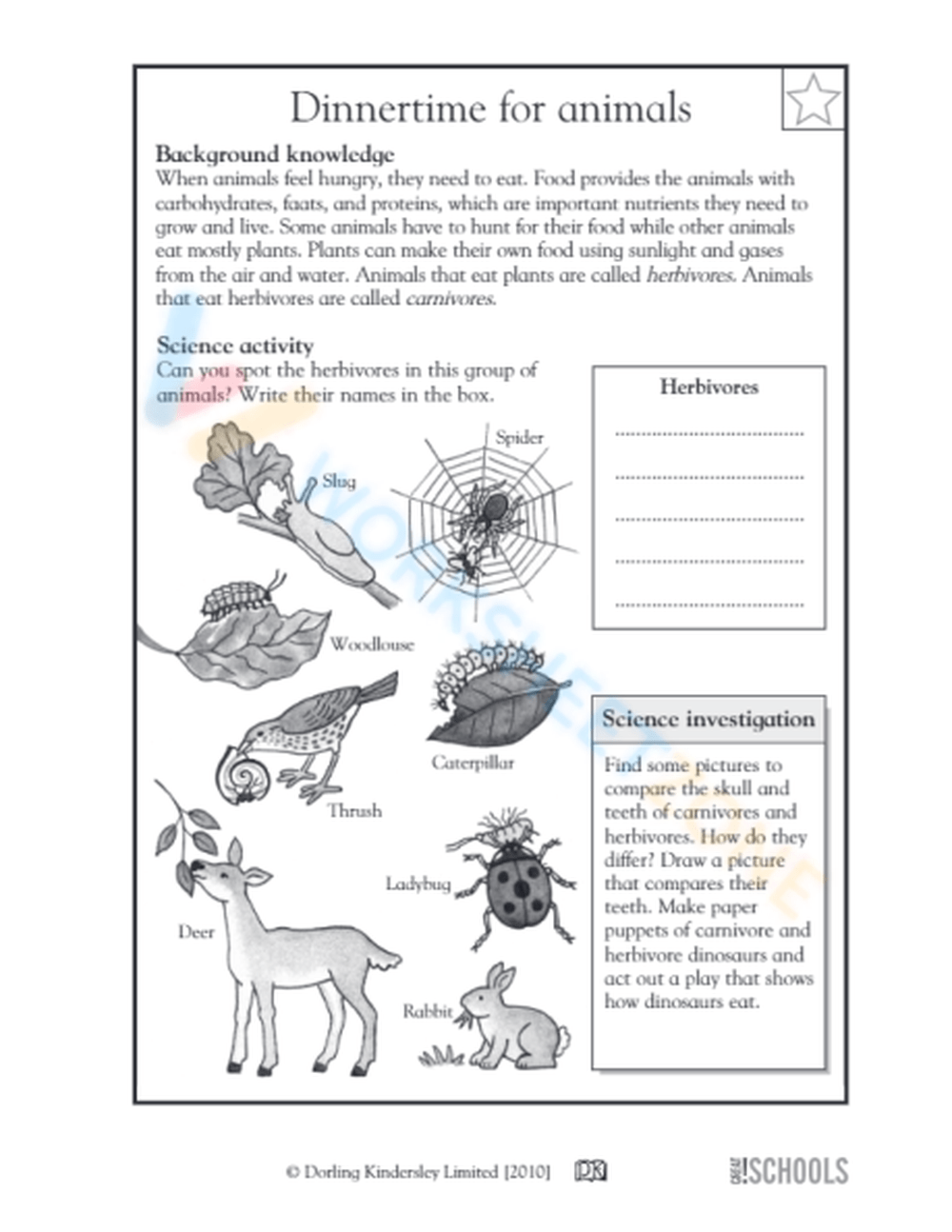 science-for-3rd-graders-worksheets