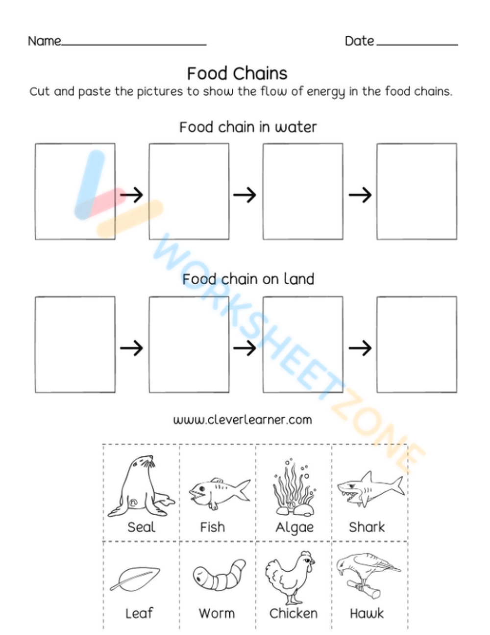 food webs and food chains 3 Worksheet Zone