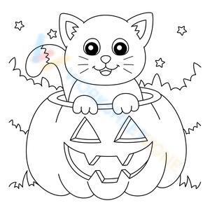 Halloween pumpkin with a cat inside