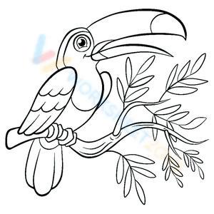 Free Printable Bird Coloring Pages for Kids