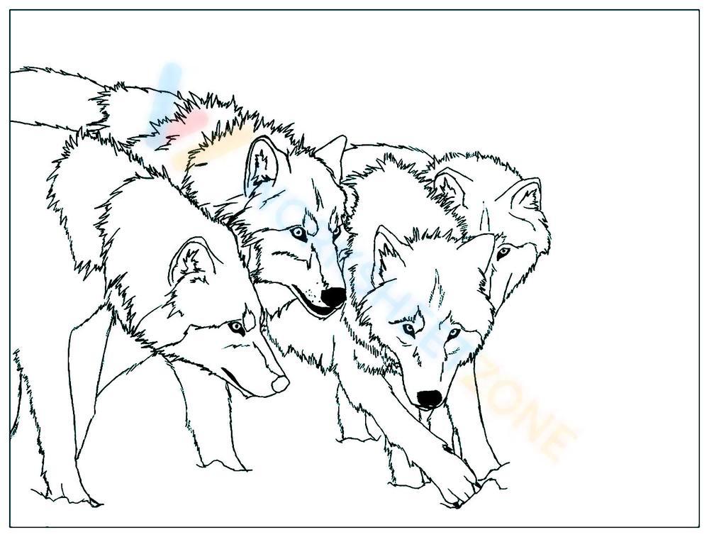 wolf pup howling coloring pages