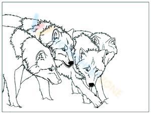 howling wolf coloring pages