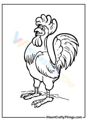 Funny crowing chicken