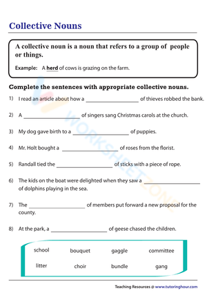 530+ Grade 3 Parts of Speech Worksheets 2024