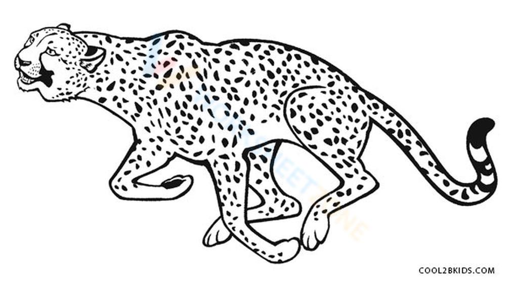 running cheetah coloring pages