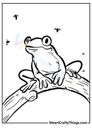 A frog on the tree